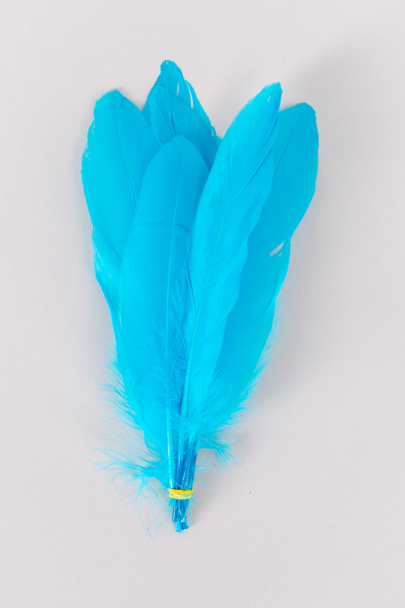Goose Feathers Bundle of 6 - Yellow Rubber Band - FINAL SALE、mySite、hinf8tx79
