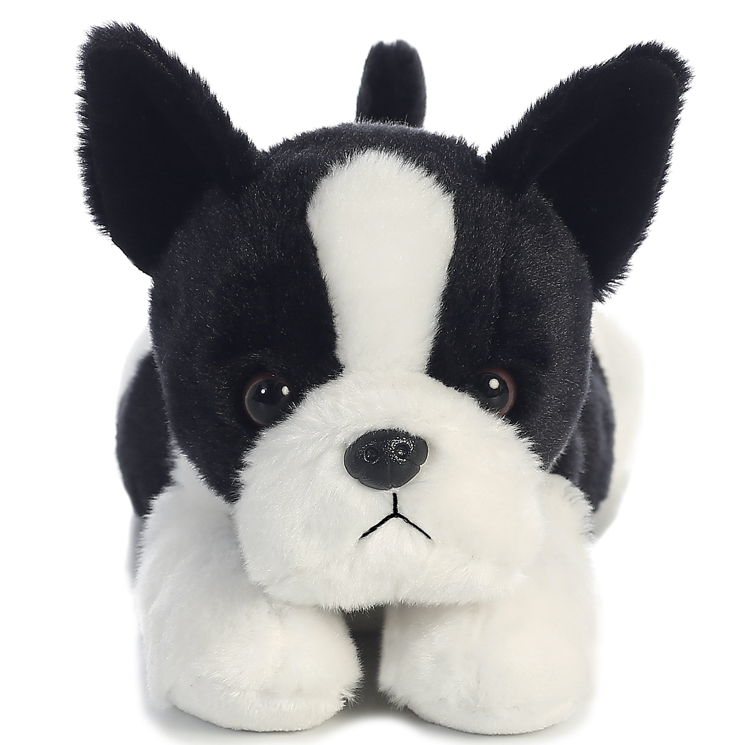Aurora® - Flopsie™ - 12 Buster™ Boston Terrier、mySite、g9winljtr