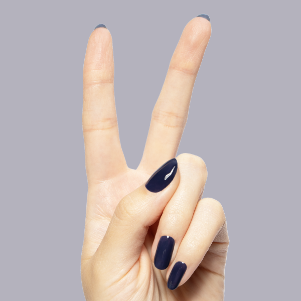 Suited - Gel、mySite、solidvoid