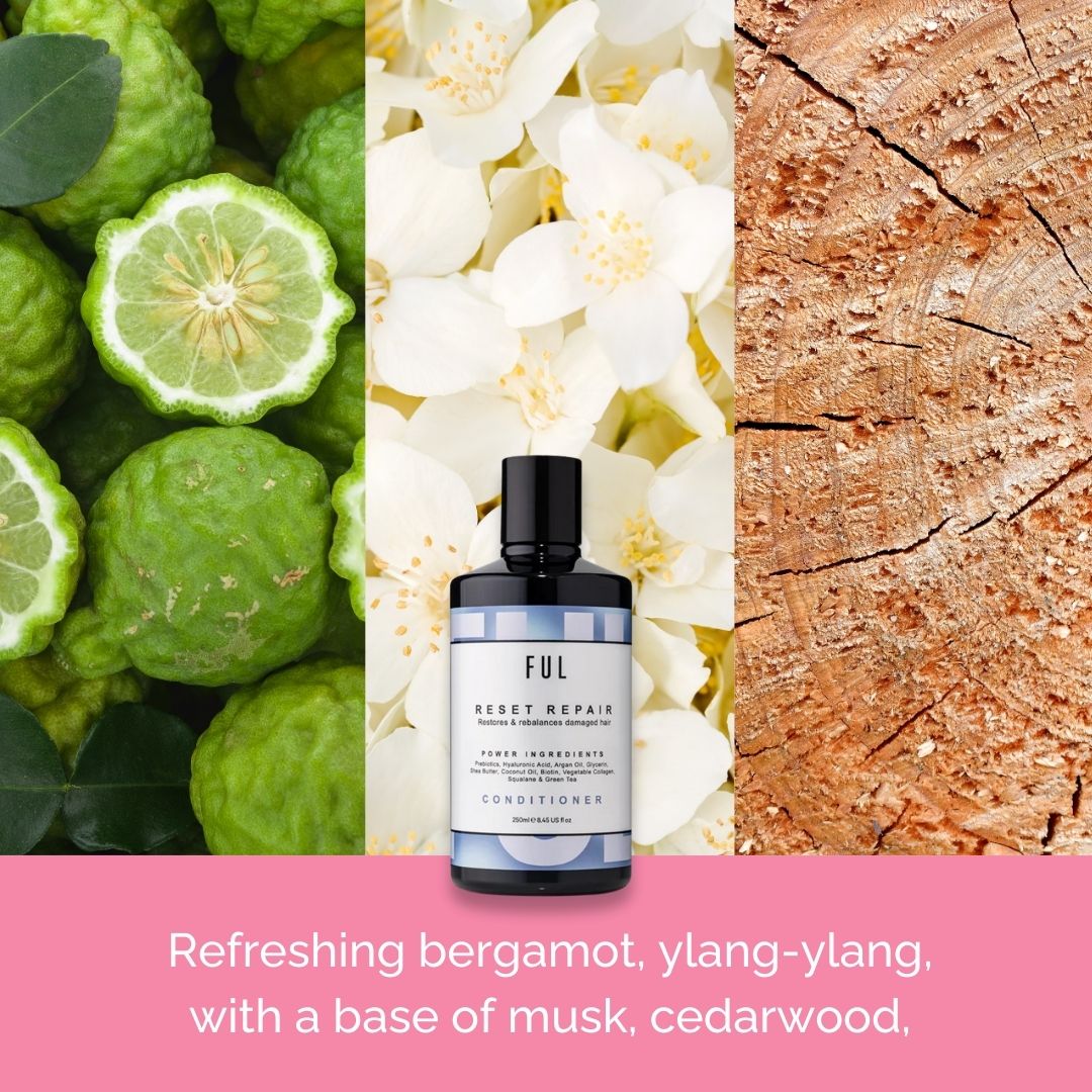  FUL Reset Repair Conditioner、mySite、elrpsem3k