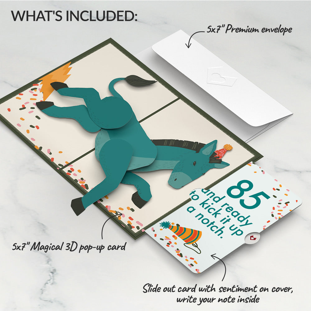 Kick Ass Birthday Pop-Up Card and 85th Kick It Up Sentiment Set、mySite、solidvoid