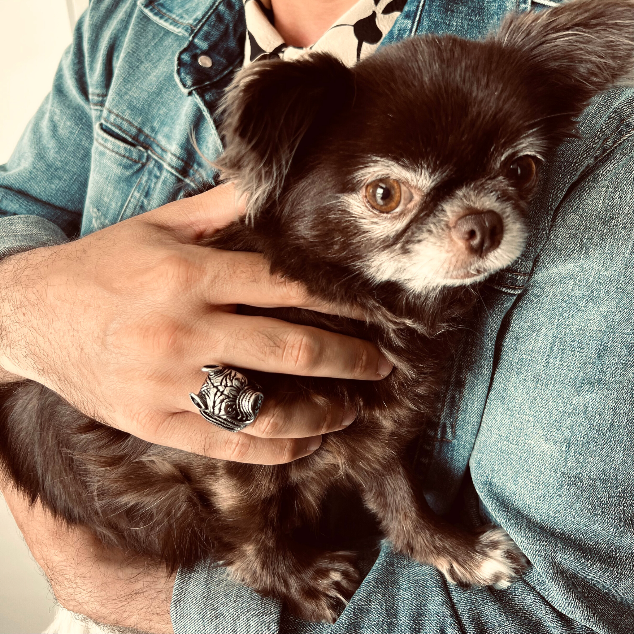 Stainless Steel Pit Bull Dog Ring / SCR4027、mySite、dreamappss