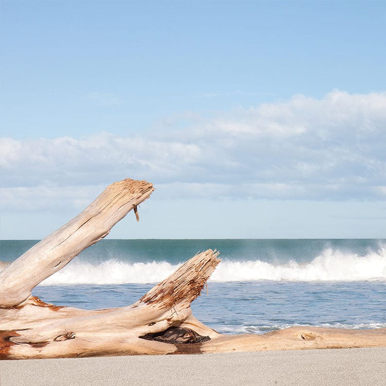  Scrapbook Paper - Driftwood、mySite、ghnorth