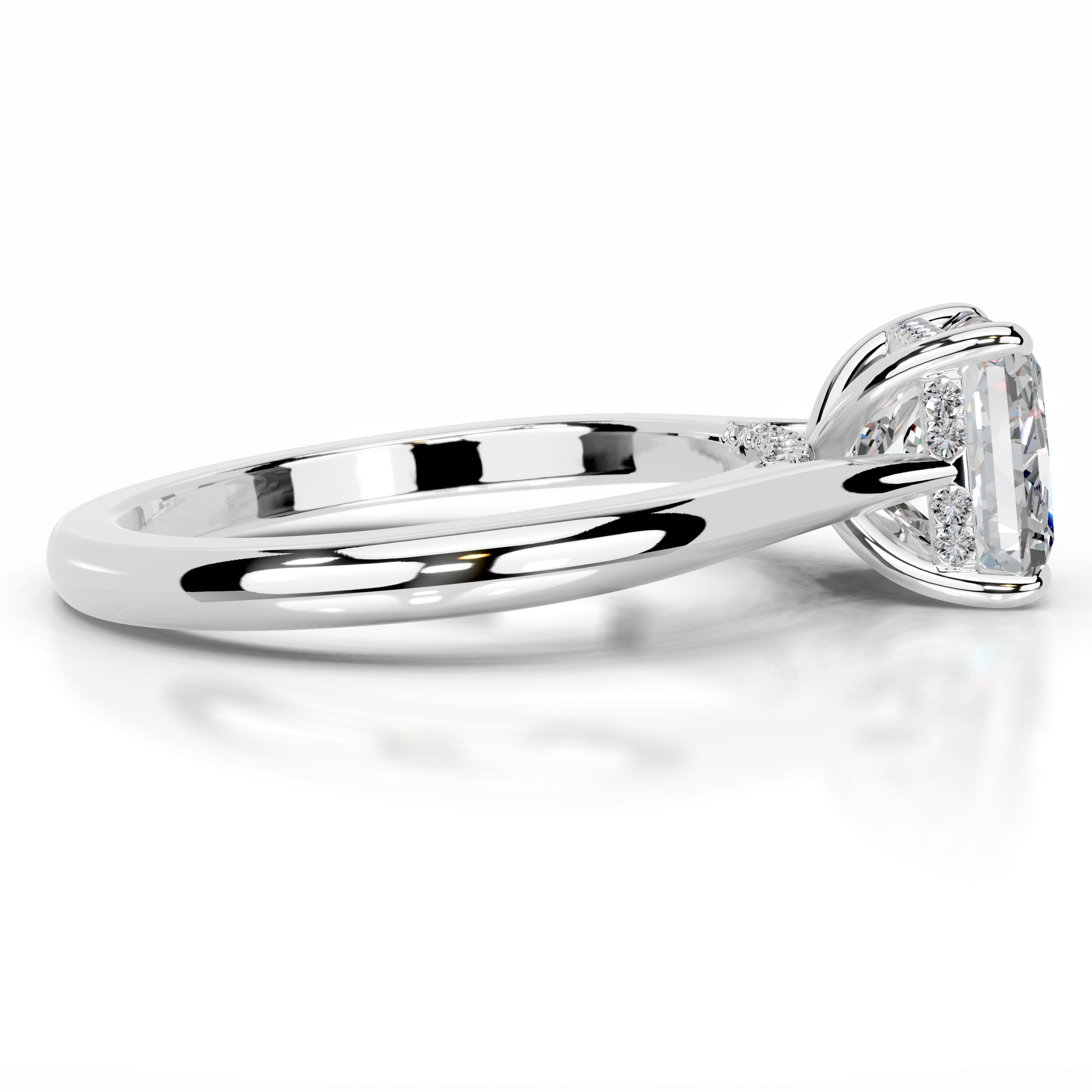 Cardinia Moissanite & Diamond Ring - Platinum、mySite、hinf8tx79