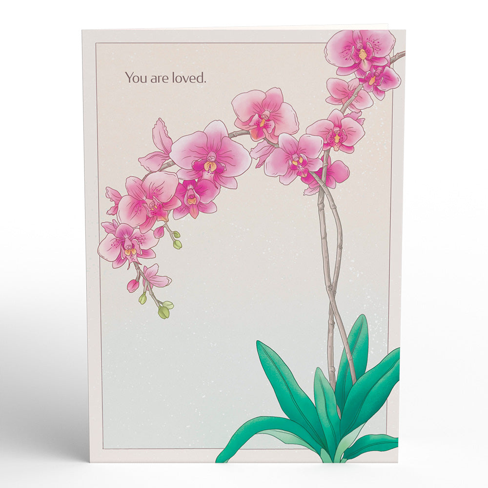 Mother’s Day Orchid Pop-Up Card、mySite、solidvoid