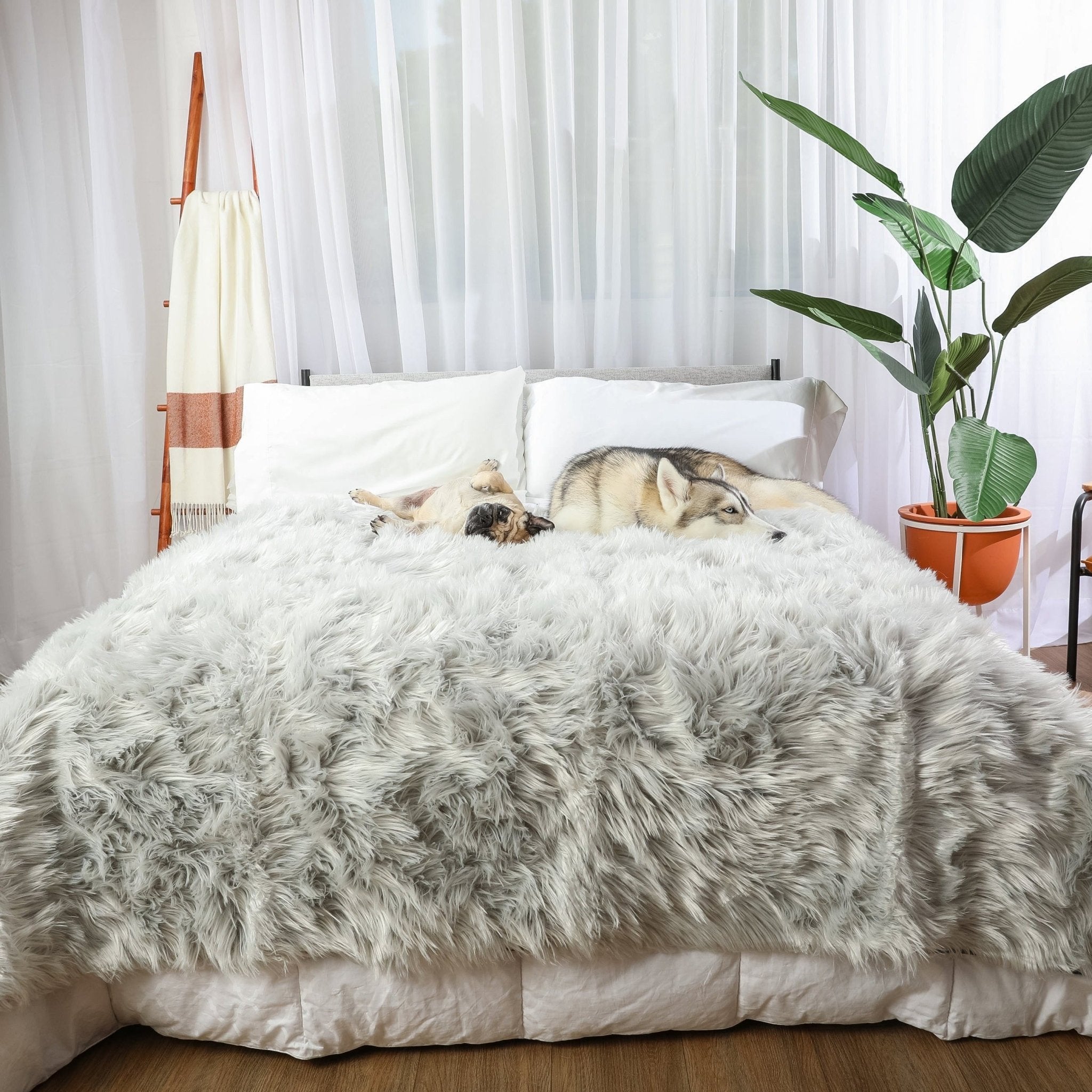 PupProtector™ Waterproof Throw Blanket - Grey、mySite、solidvoid