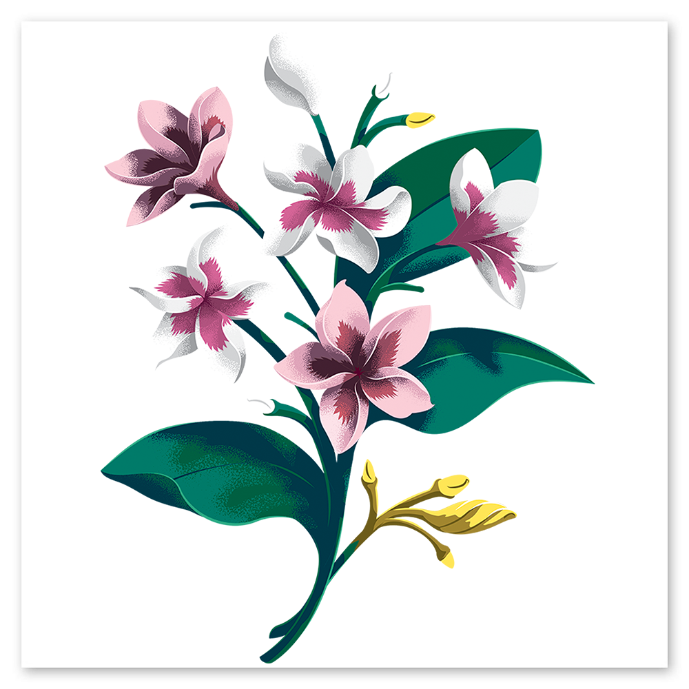  Crocus Flowers Tattly Temporary Tattoos、mySite、ghnorth