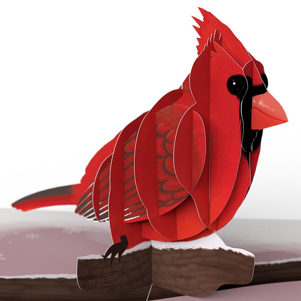 Winter Bird Box Set (Assorted 12-Pack): Paperpop® Card、mySite、solidvoid