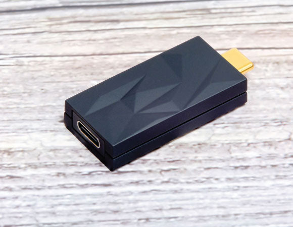 iFi Audio - iDefender+