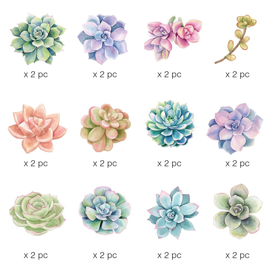  Scrapbook Stickers - Succulents Die Cut Sticker Pack、mySite、ghnorth