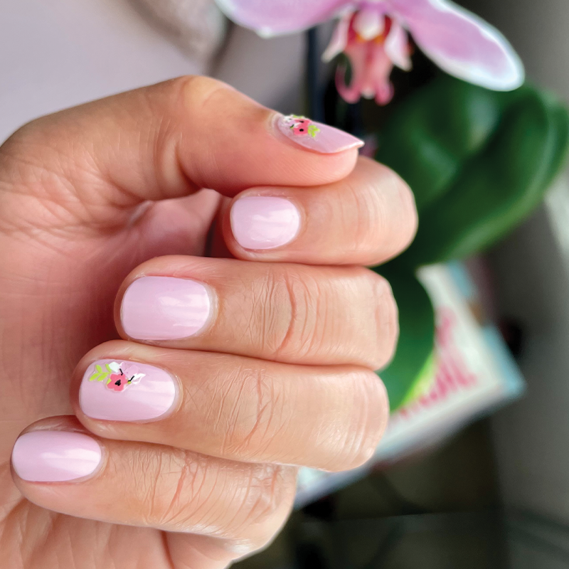 Cockatoo、mySite、solidvoid