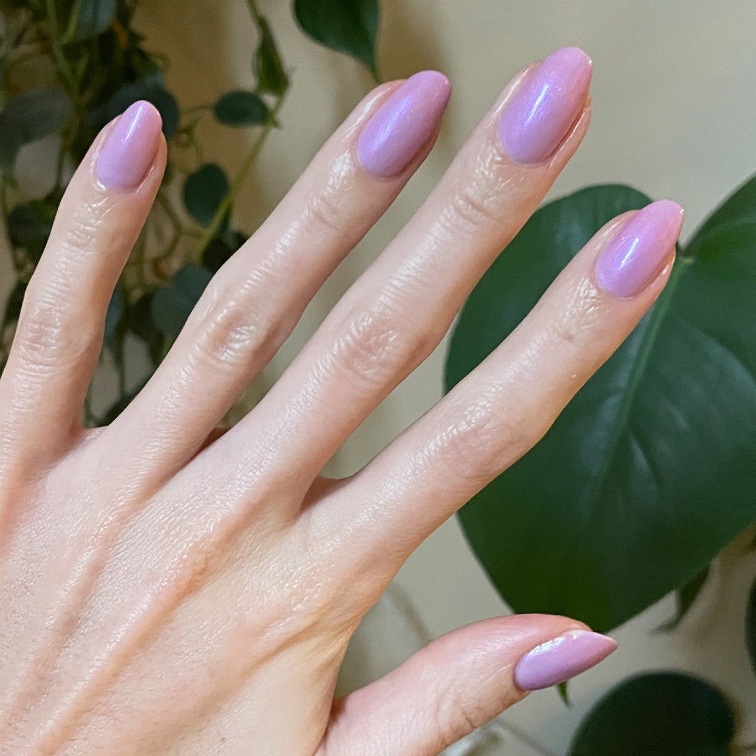 Purple Season、mySite、solidvoid