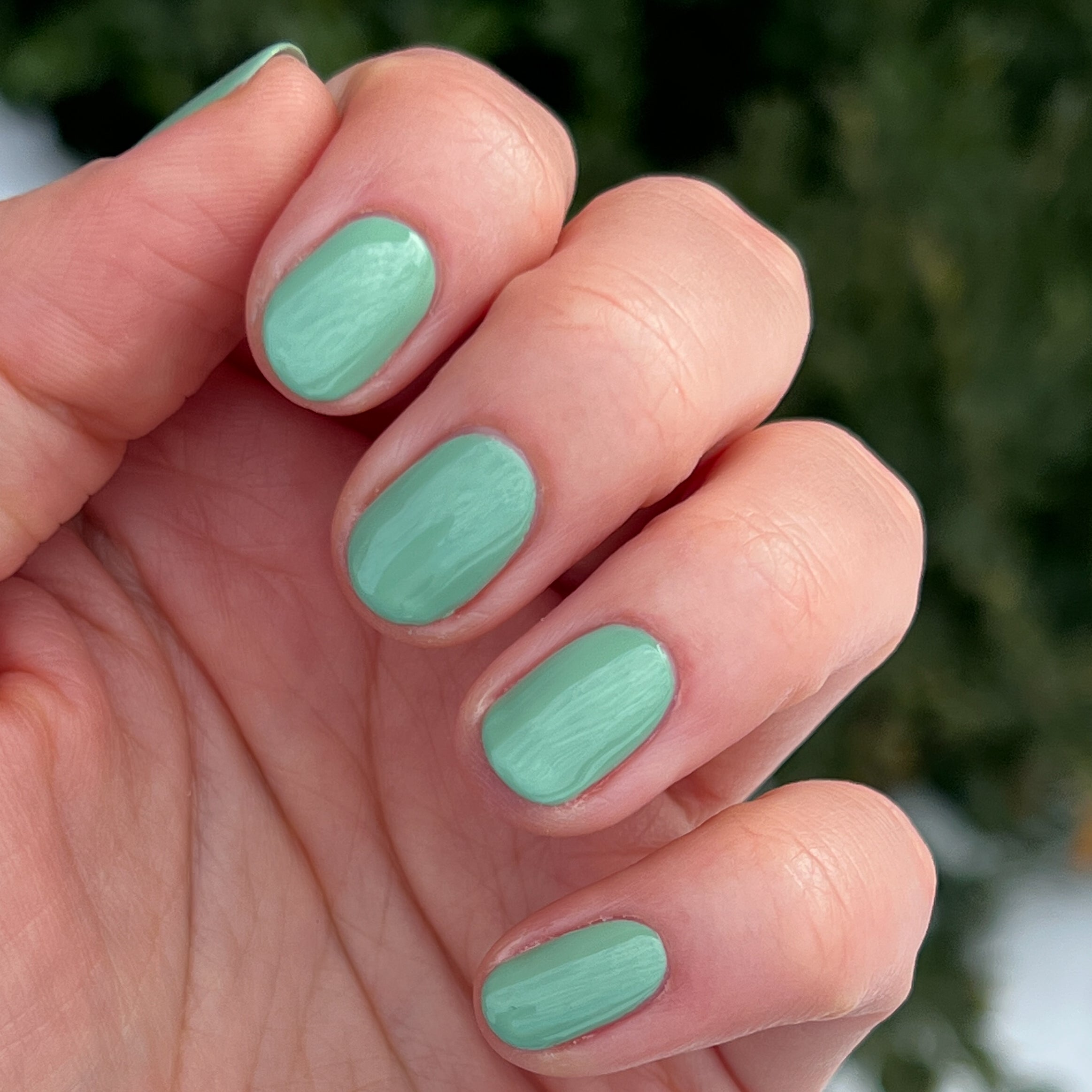 Cucumber Sandwich、mySite、solidvoid