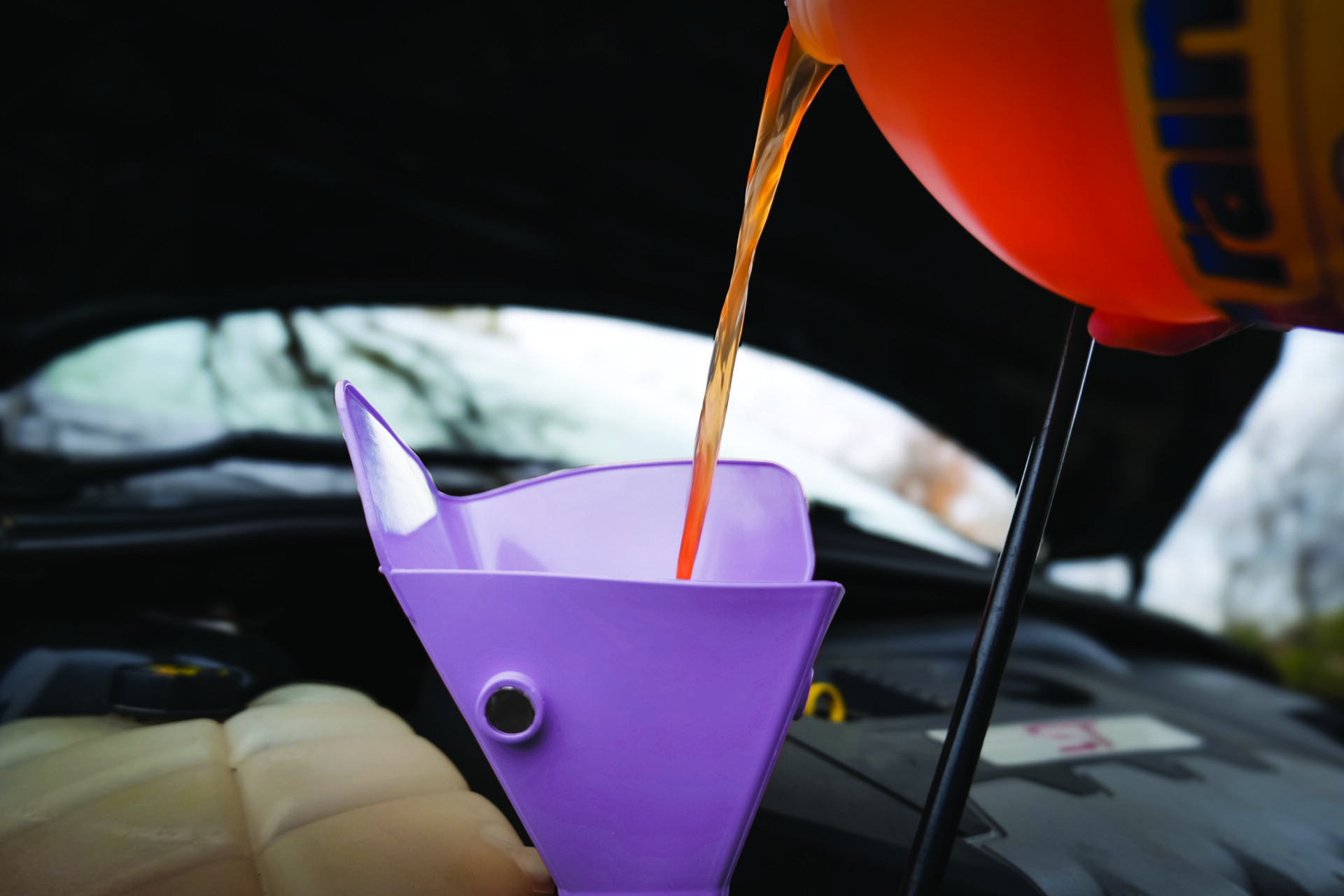 Flex Fold Funnels、mySite、dreamappss