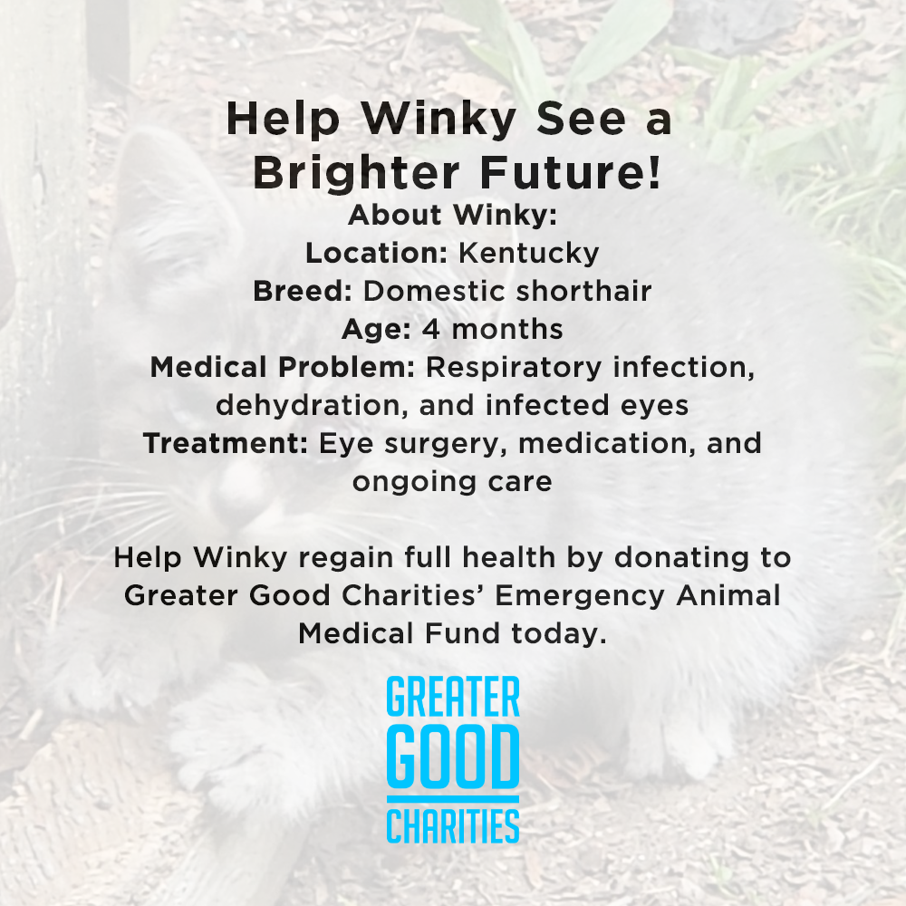 Funded - Help Winky See a Brighter Future、mySite、camillekostekn