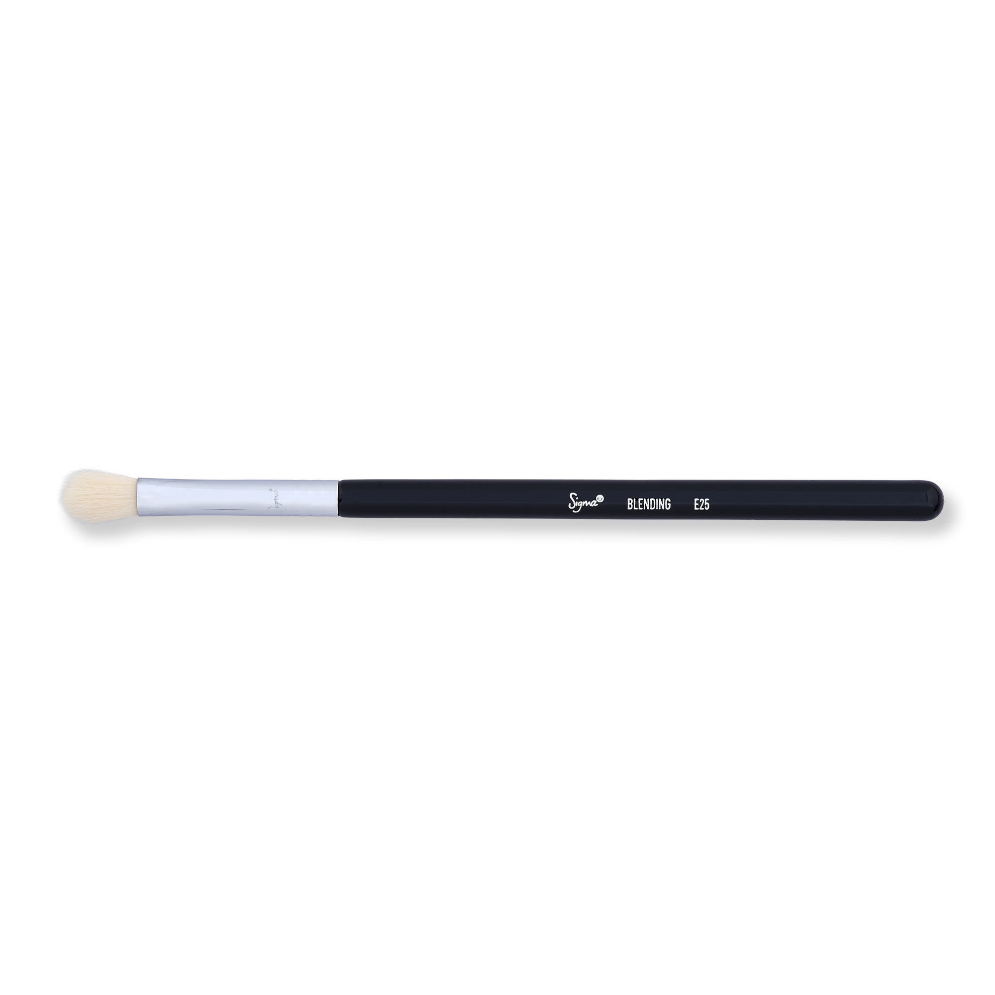 Sigma E25 Blending Brush、mySite、gigharbornorthrealestate