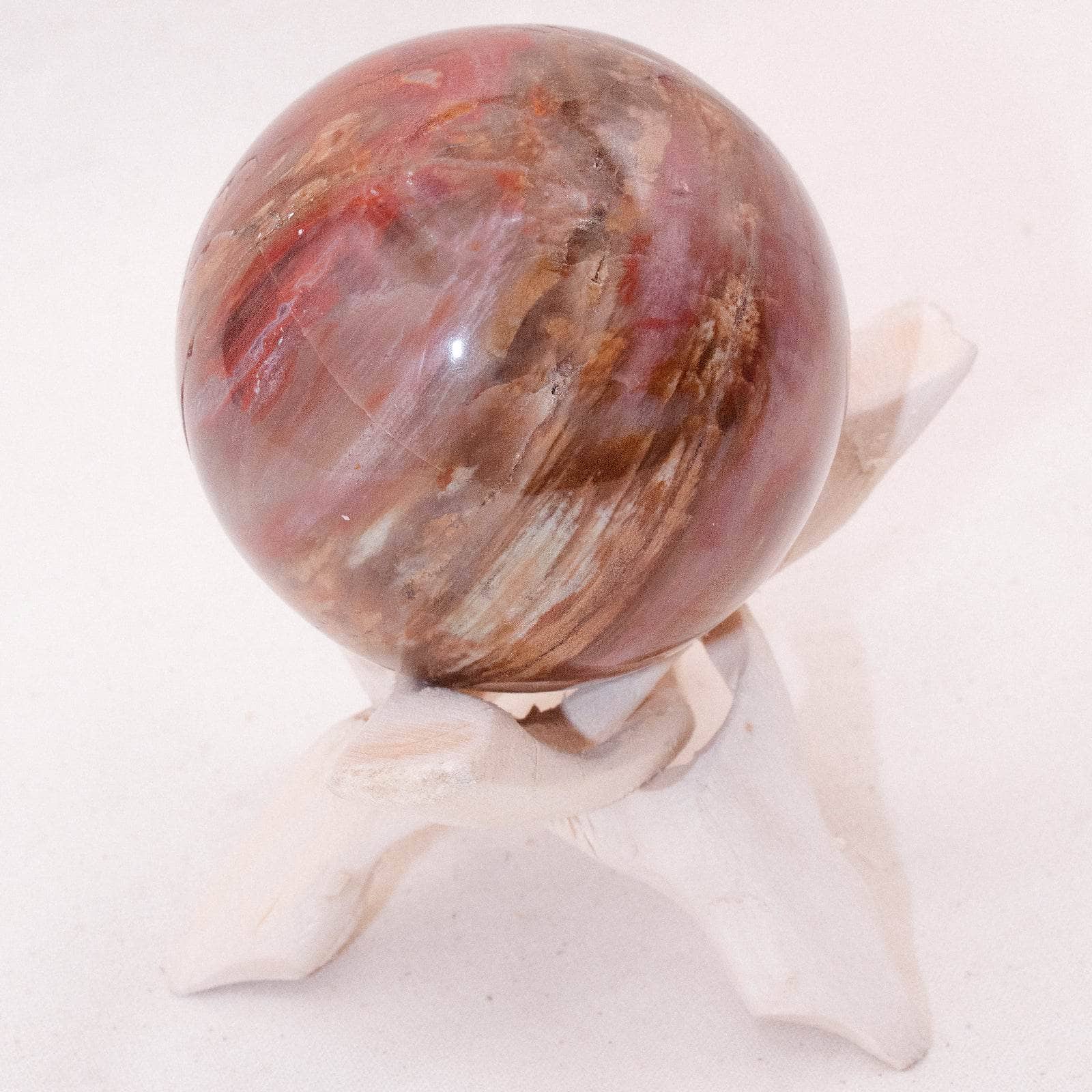 Petrified Wood Sphere - AAA Premium Quality、mySite、hinf8tx79