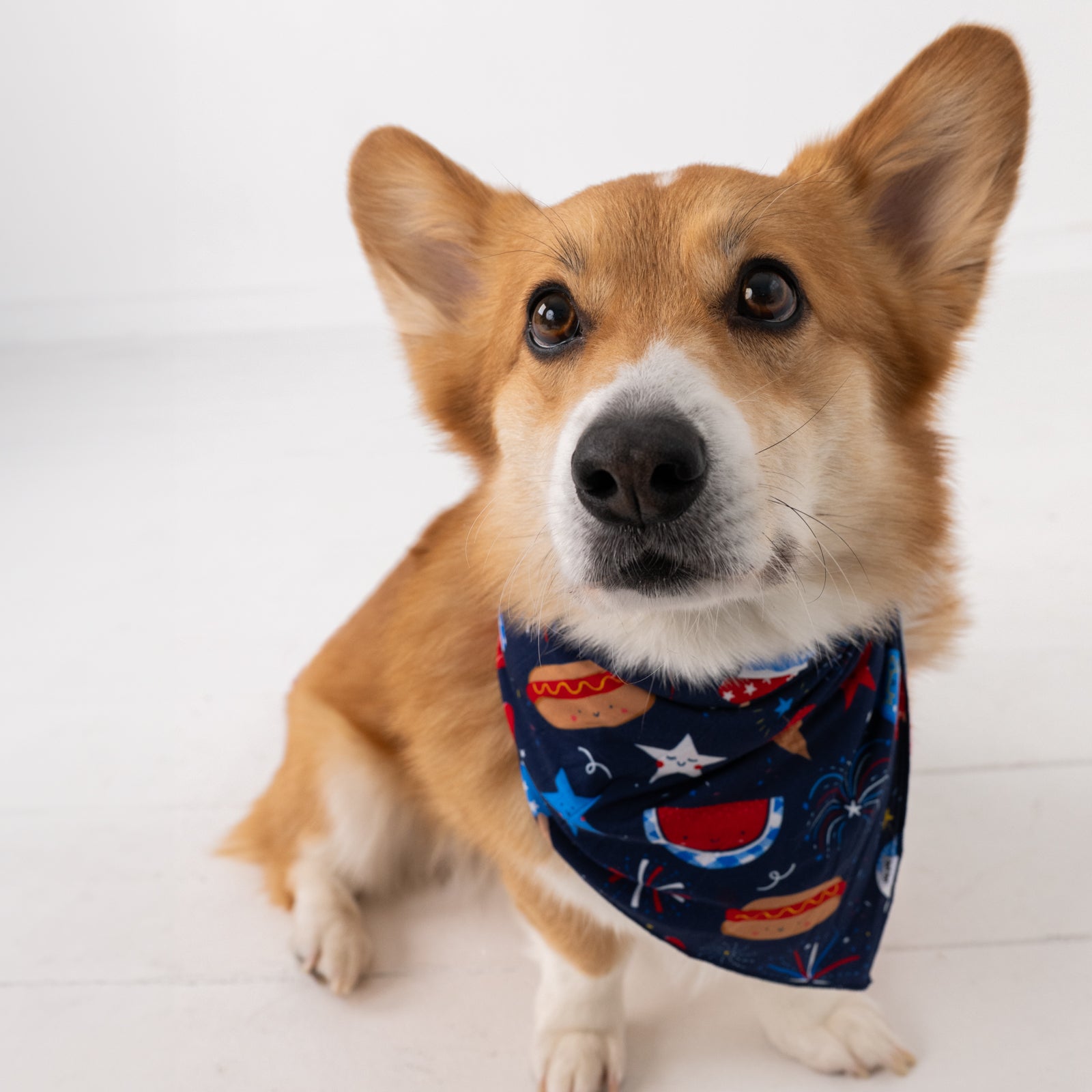  Snacks & Sparkles Pet Bandana、mySite、layawaytickets