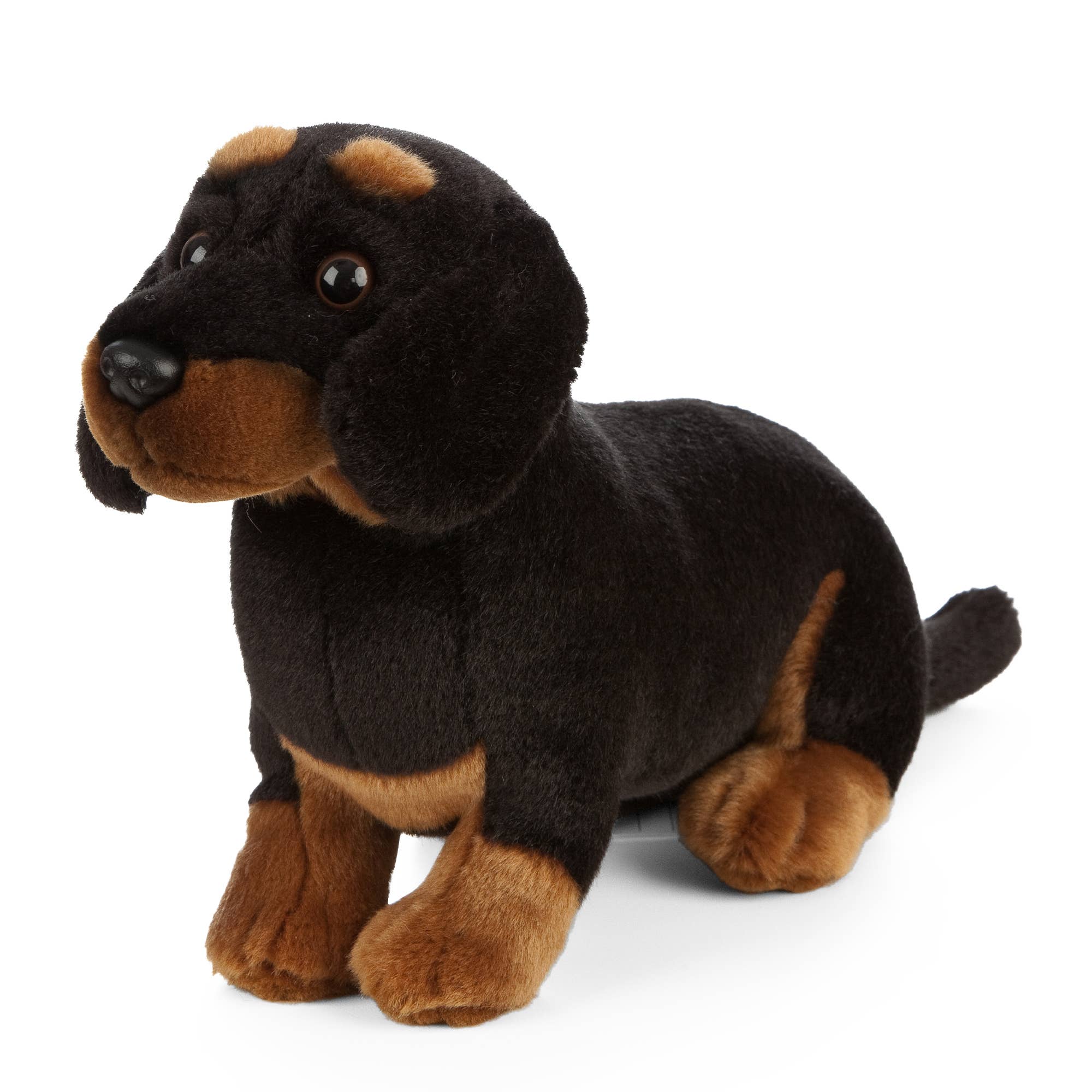 Black and Tan Dachshund Plush Puppy- Eco-Friendly、mySite、g9winljtr