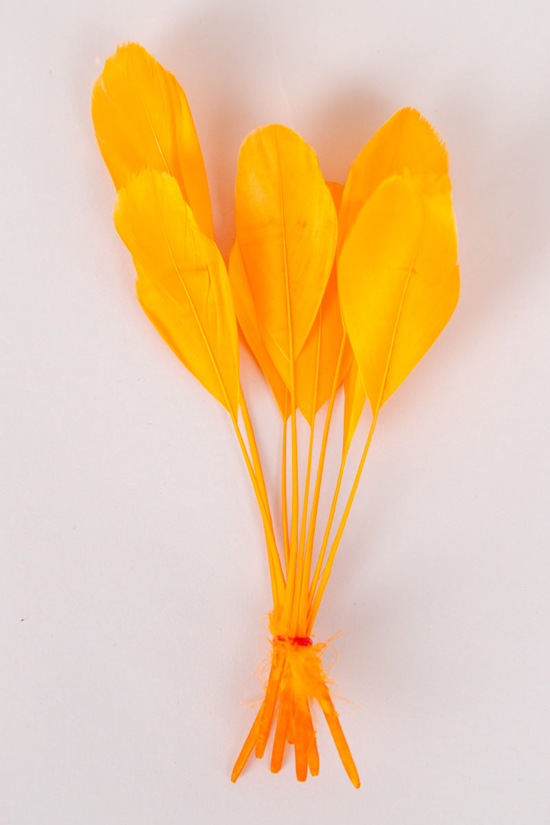 Stripped Coque Feathers Bundle of 8- Red Rubber Band、mySite、hinf8tx79