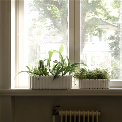  White Mist Oval Planter、mySite、elrpsem3k