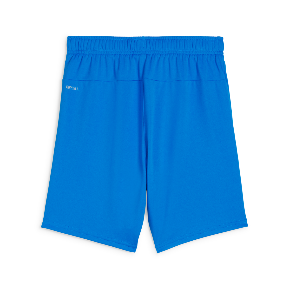 (PUMA-705753-02) Puma Youth Teamgoal Shorts - Royal Blue、mySite、noshort