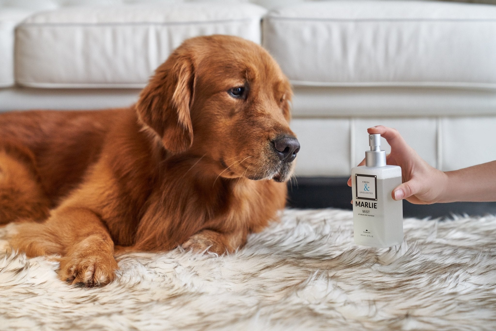 Marlie Mist Pet Odor Eliminator Spray with Essential Oils、mySite、solidvoid