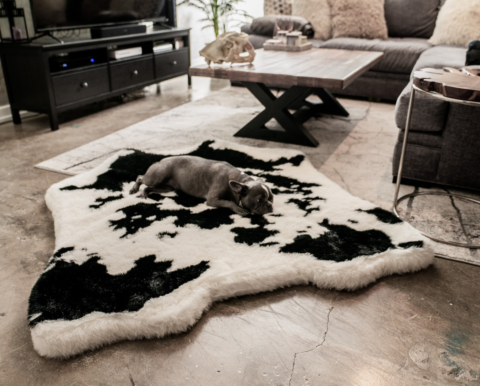 PupRug™ Memory Foam Bed + Matching Waterproof Blanket Bundle - Black Faux Cowhide、mySite、solidvoid