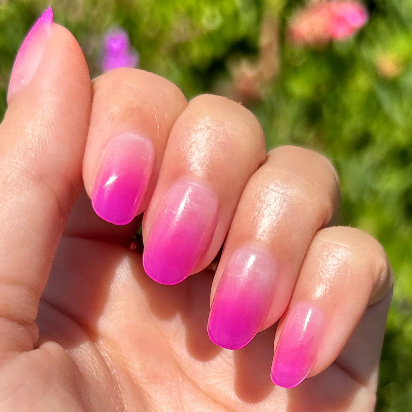 Jelly Magenta Gradient - Press-On | Short | Round、mySite、solidvoid