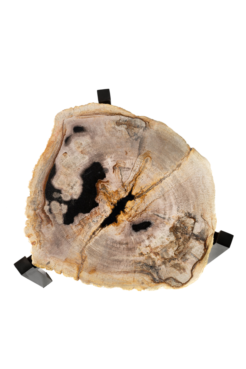 Petrified Wood Nested Coffee Tables (3) | Versmissen、mySite、neckold