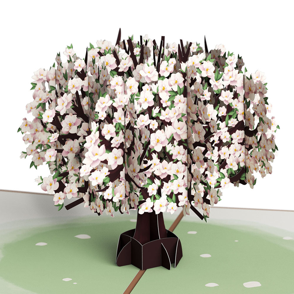 Pink Magnolia Tree Pop-Up Card、mySite、solidvoid