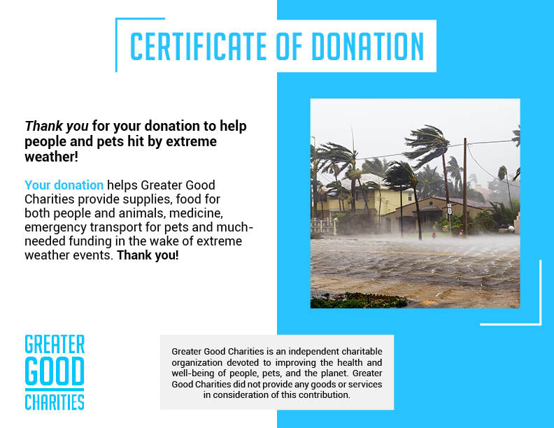 Help People and Pet Victims of Hurricanes、mySite、camillekostekn