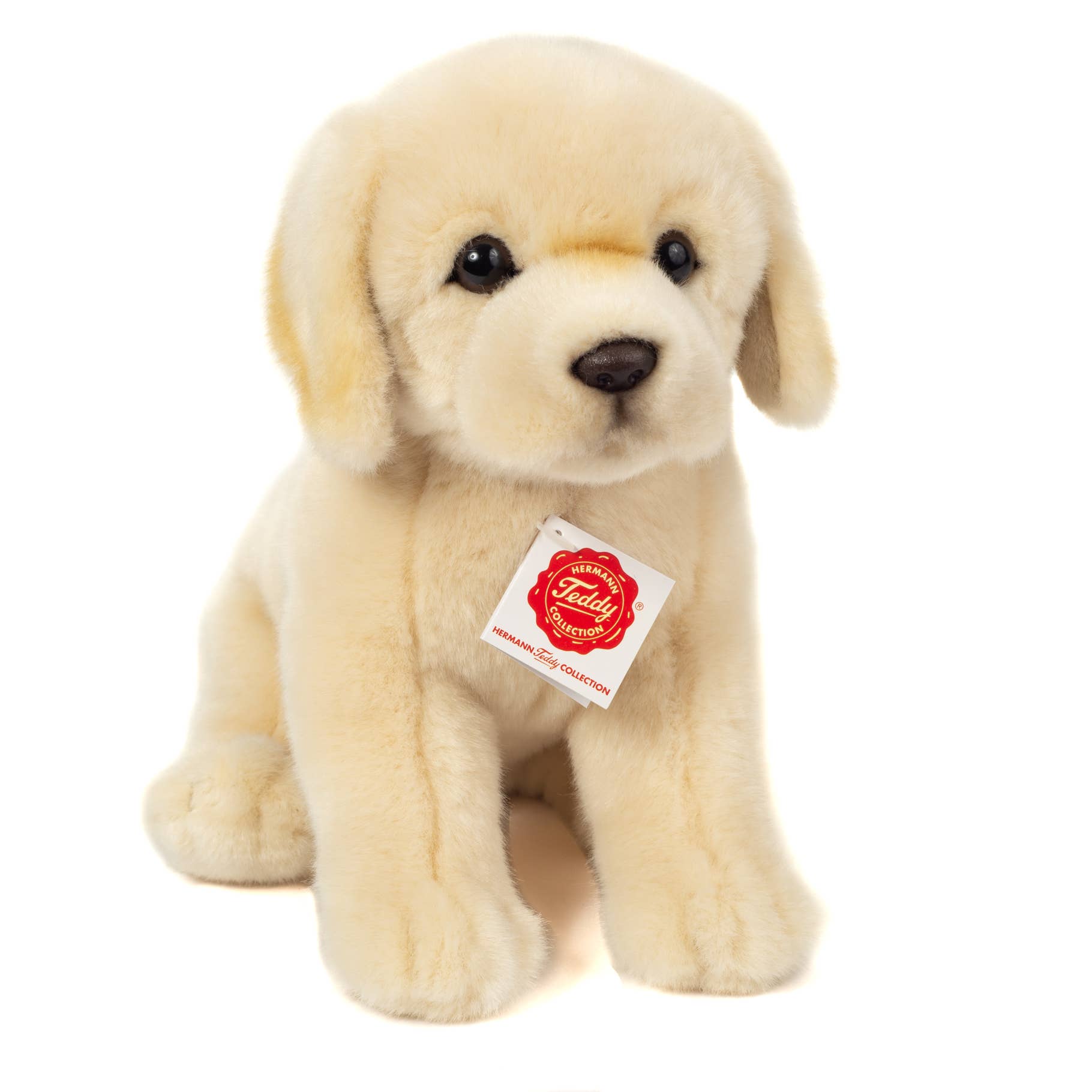 Golden Retriever or Yellow Labrador, Sitting 25 cm - plush toy - soft toy、mySite、g9winljtr
