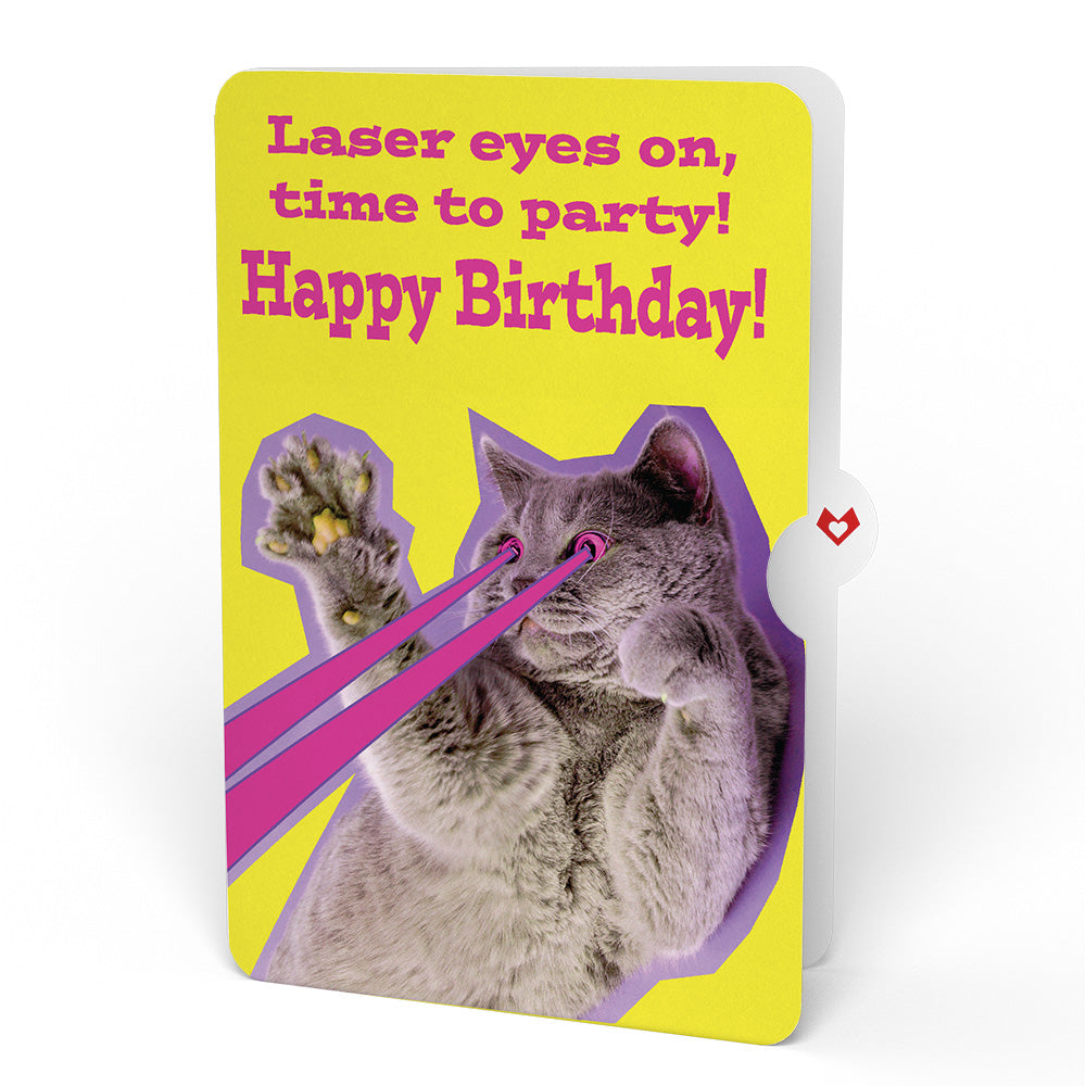 Purr-fect Cat Birthday Bouquet and Cat Laser Eyes Sentiment Set、mySite、solidvoid