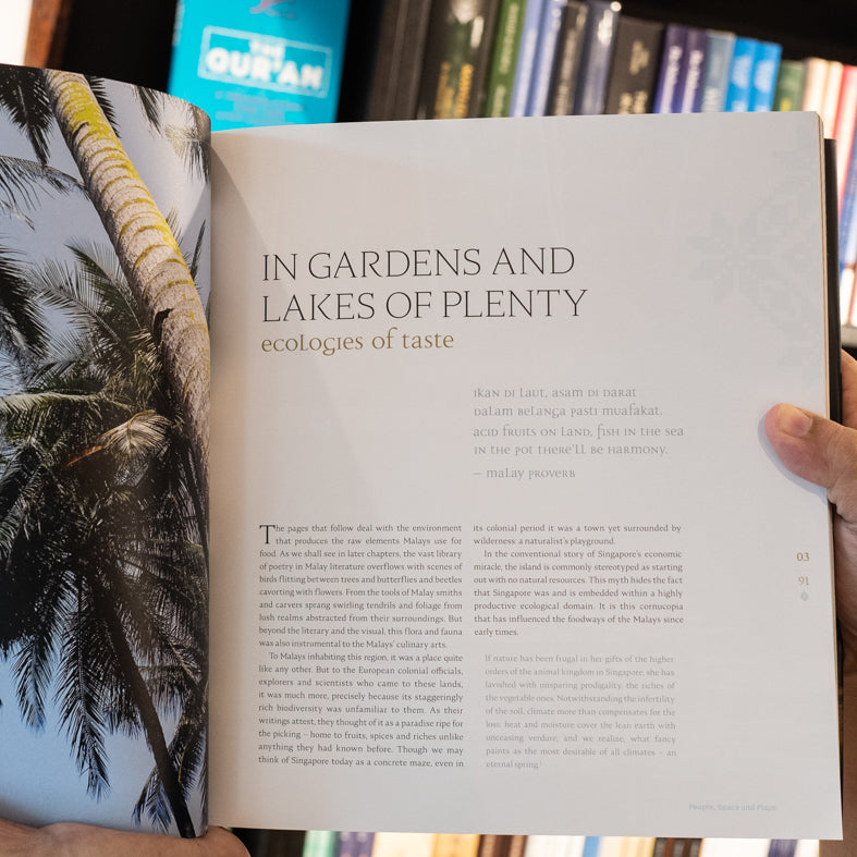 The Food Of Singapore Malays: Gastronomic Travels Through The Archipelago、mySite、topwebapps