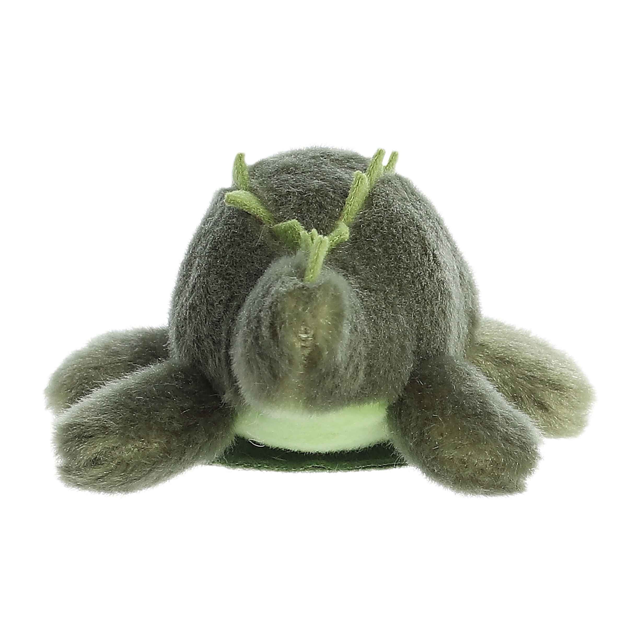 Aurora® - Shoulderkins™ - 6.5 Kirk Alligator™、mySite、g9winljtr