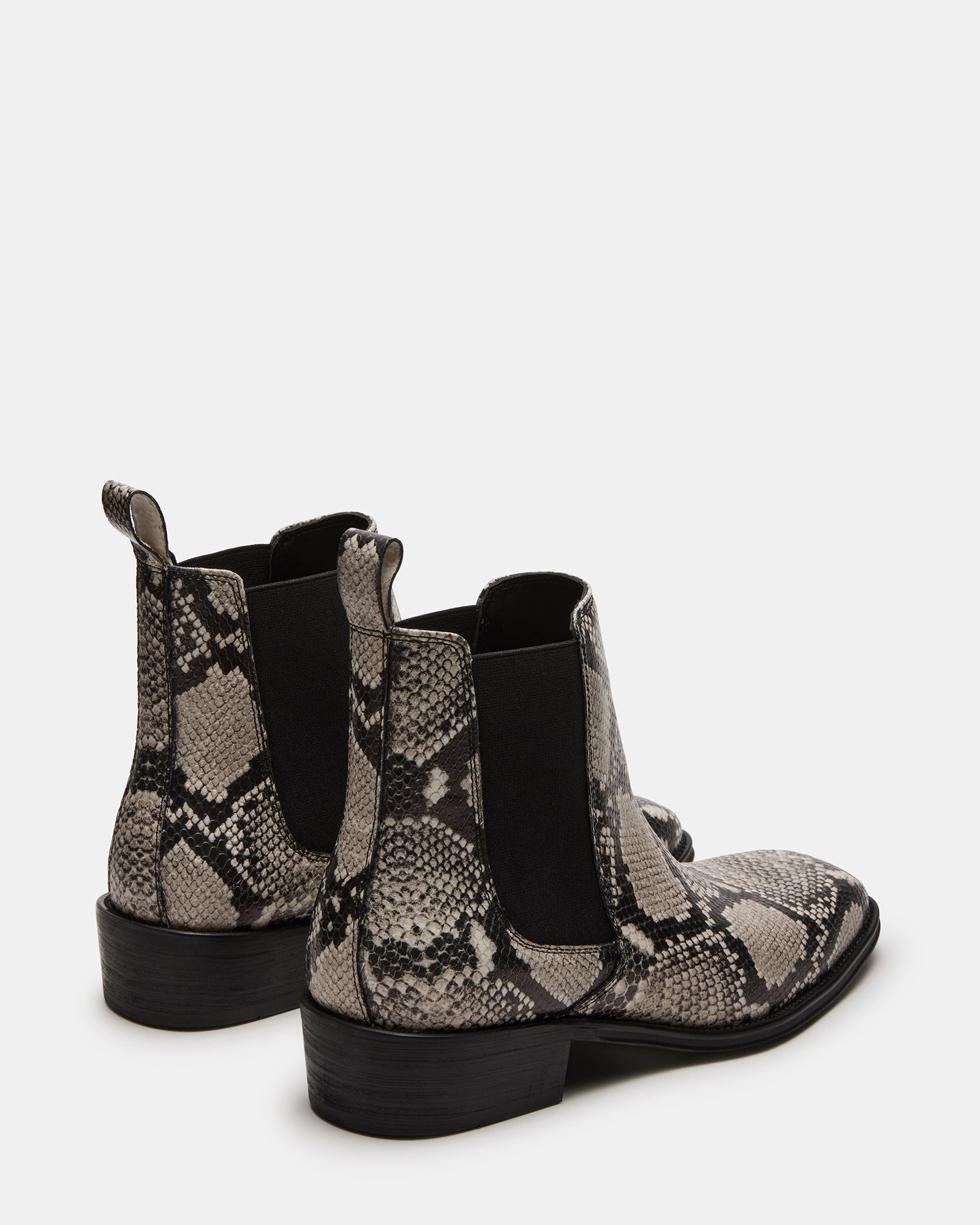 HARTE WHITE SNAKE - SM REBOOTED、mySite、gtrtttuynbv