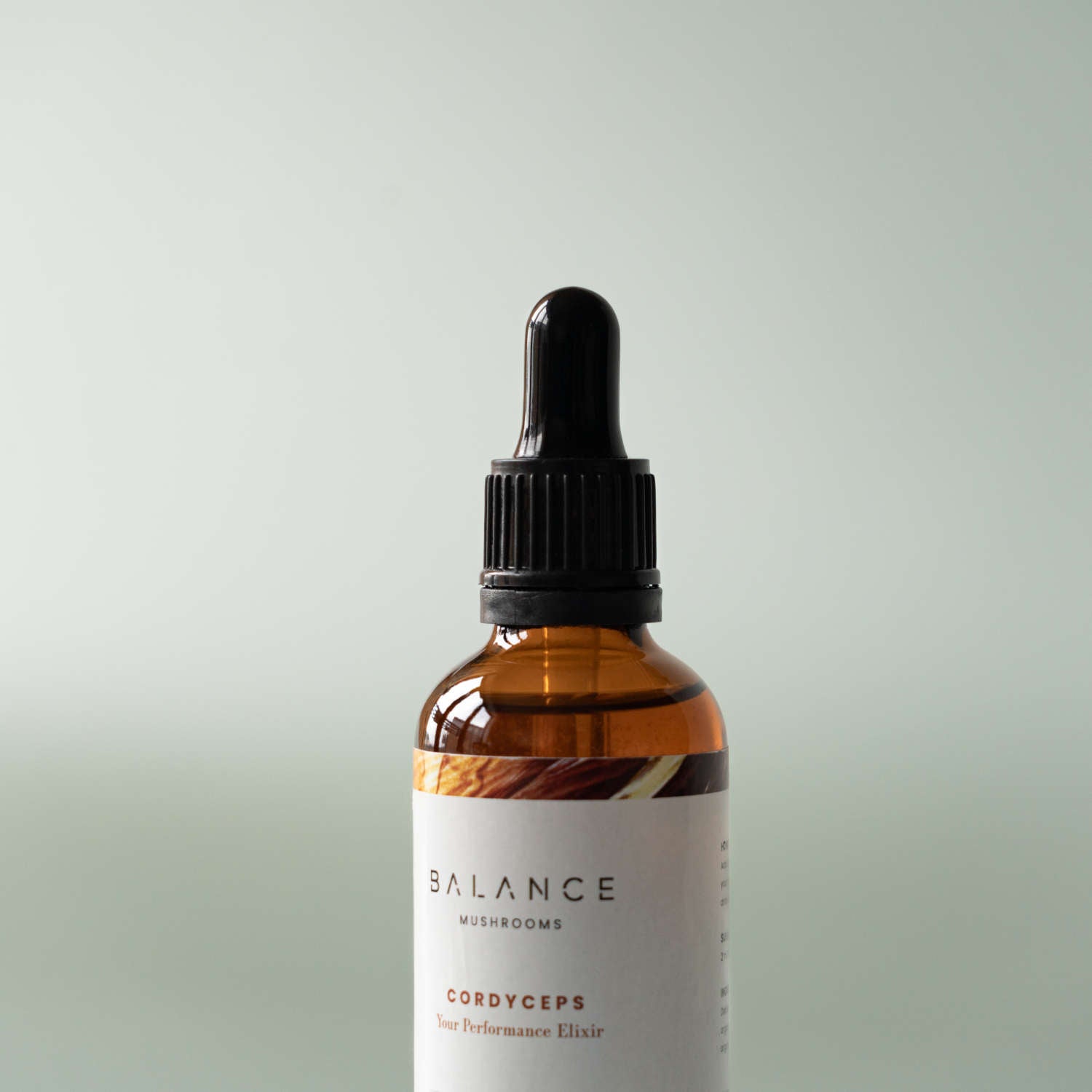 Cordyceps Elixir、mySite、gigharbornorthrealestate