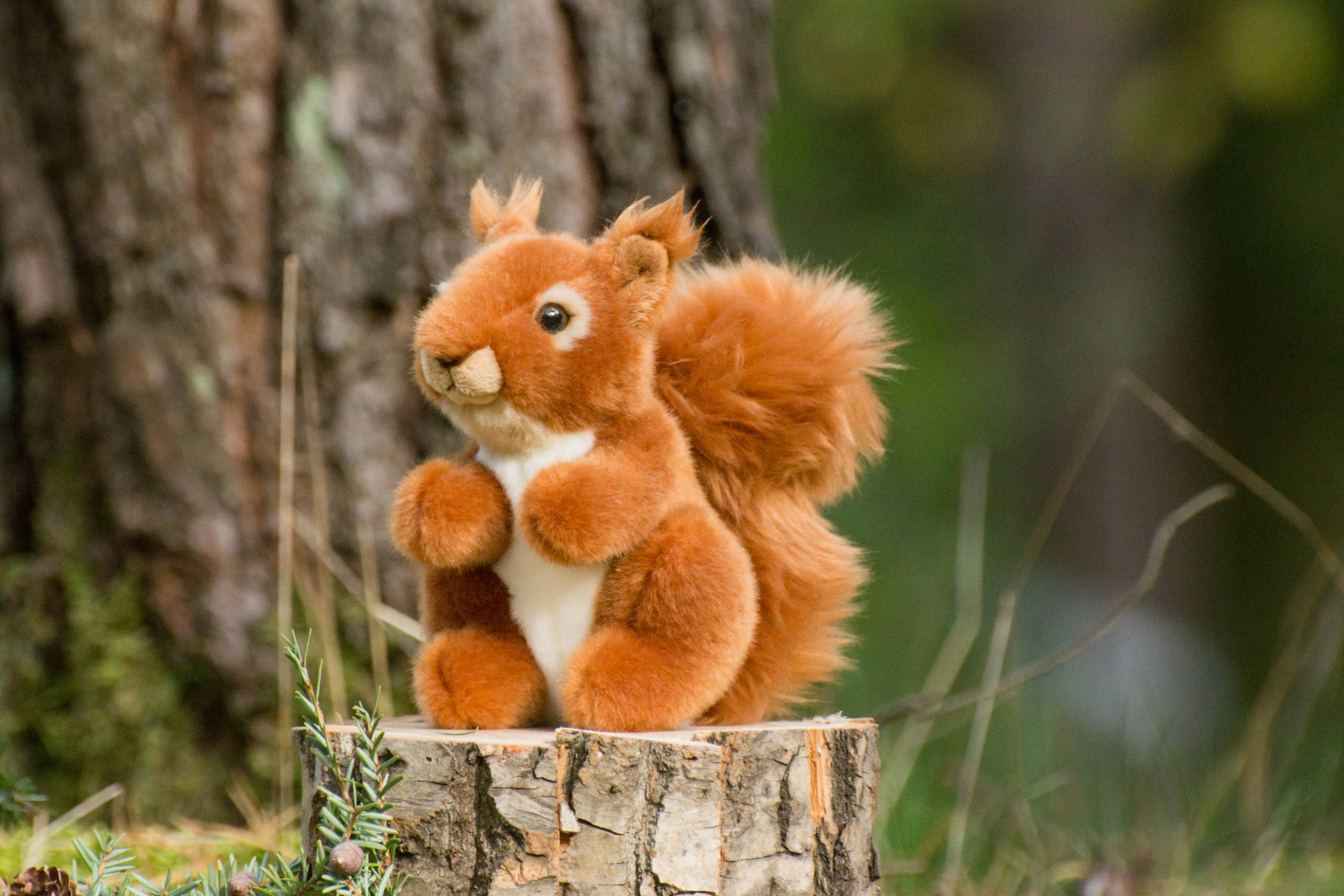 Plush Red Squirrel with Tufted Ears 14 cm - plush toy by Teddy Hermann、mySite、g9winljtr
