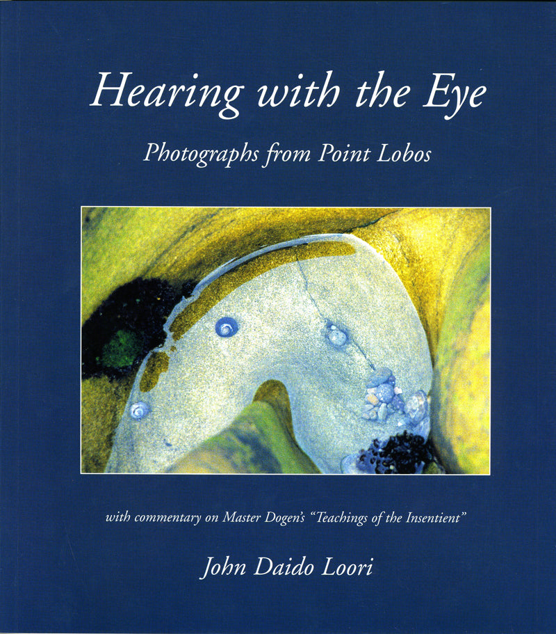 Hearing with the Eye: Photographs from Point Lobos、mySite、topwebapps