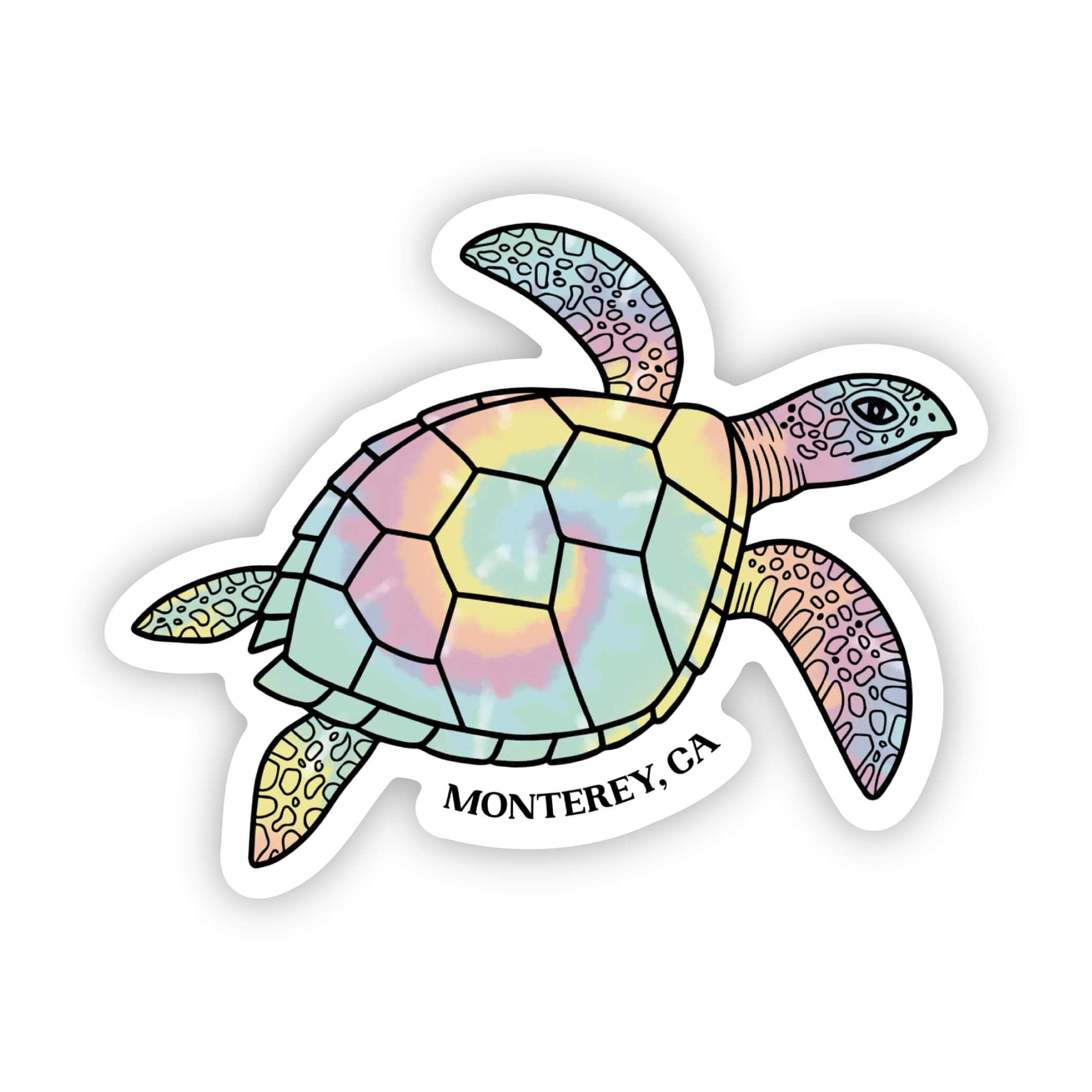  Monterey, CA Tie Dye Turtle Sticker、mySite、elrpsem3k