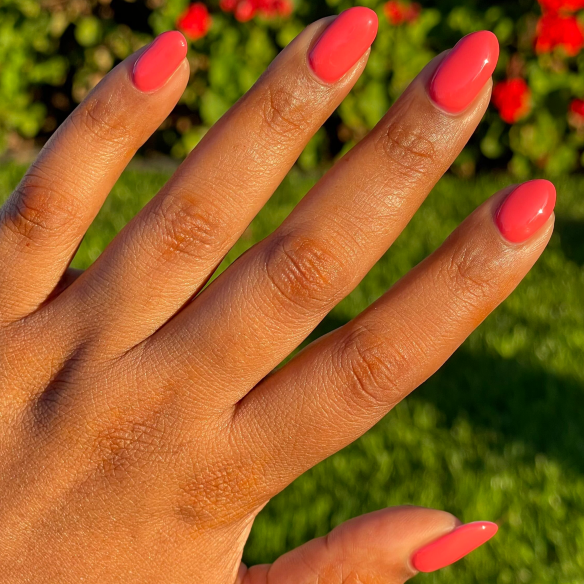 Field Day - Gel、mySite、solidvoid