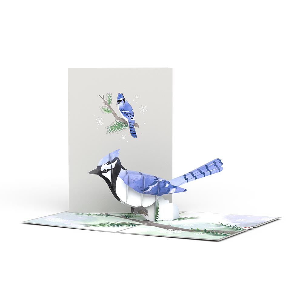 Winter Blue Jay Pop-Up Card、mySite、solidvoid