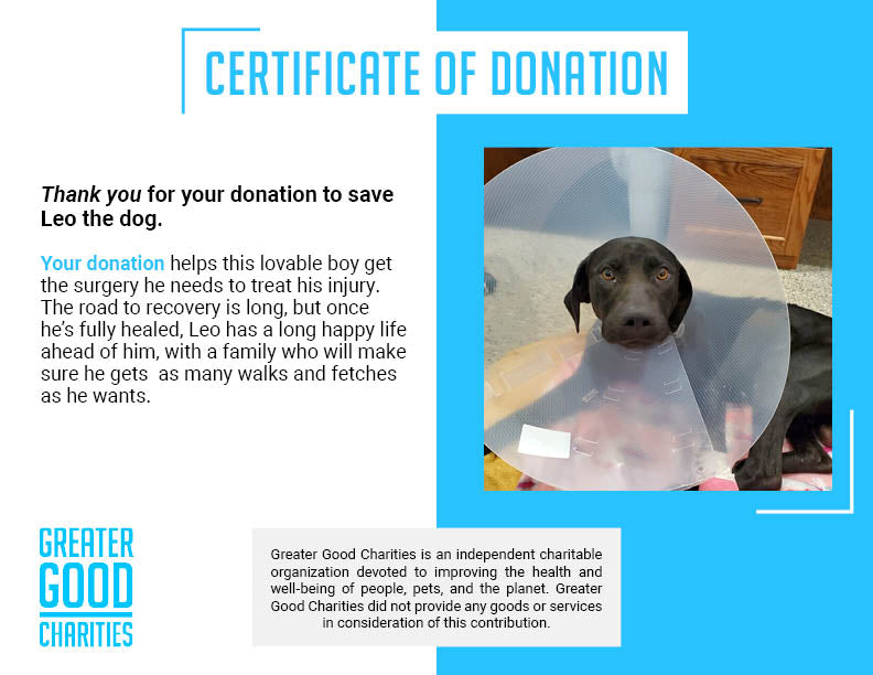 Funded - Help Leo Heal From a Life of Neglect、mySite、camillekostekn