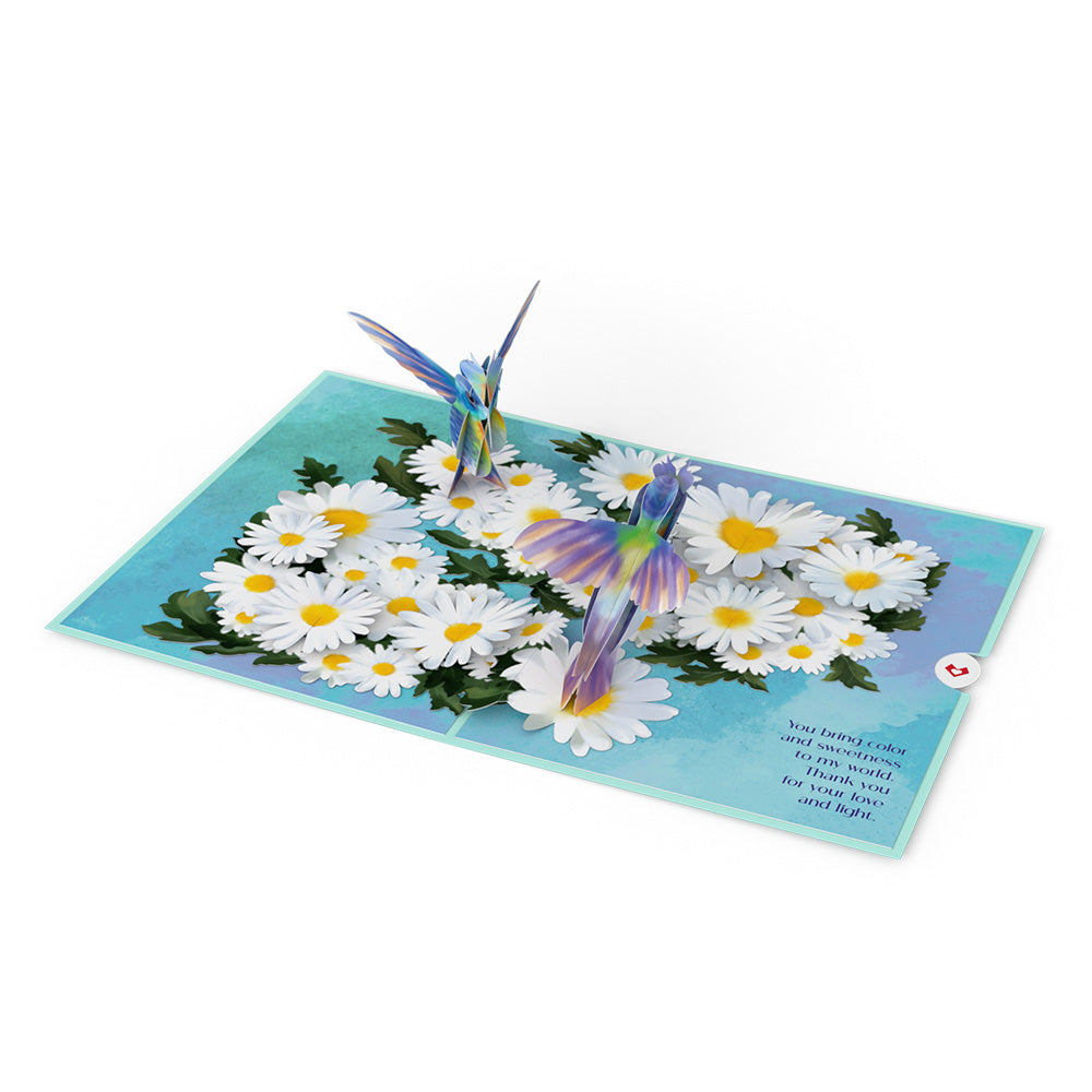 Beloved Grandparents Daisy Patch Hummingbirds Pop-Up Card、mySite、solidvoid