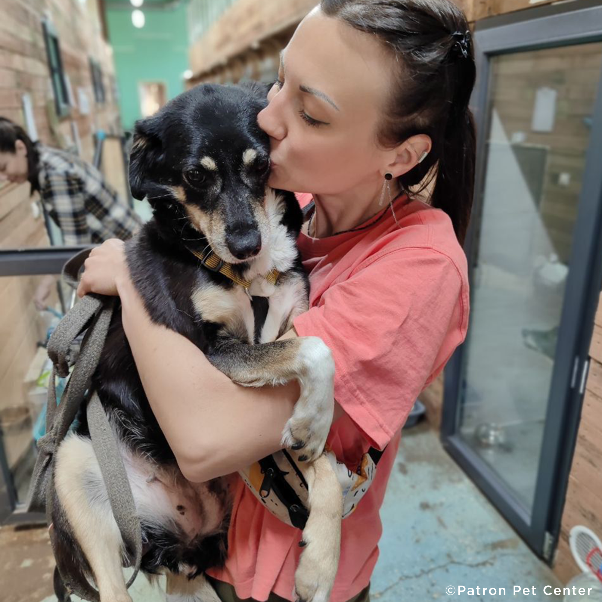 Traumatized Pets Abandoned in Ukraine Need a Safe Haven、mySite、camillekostekn