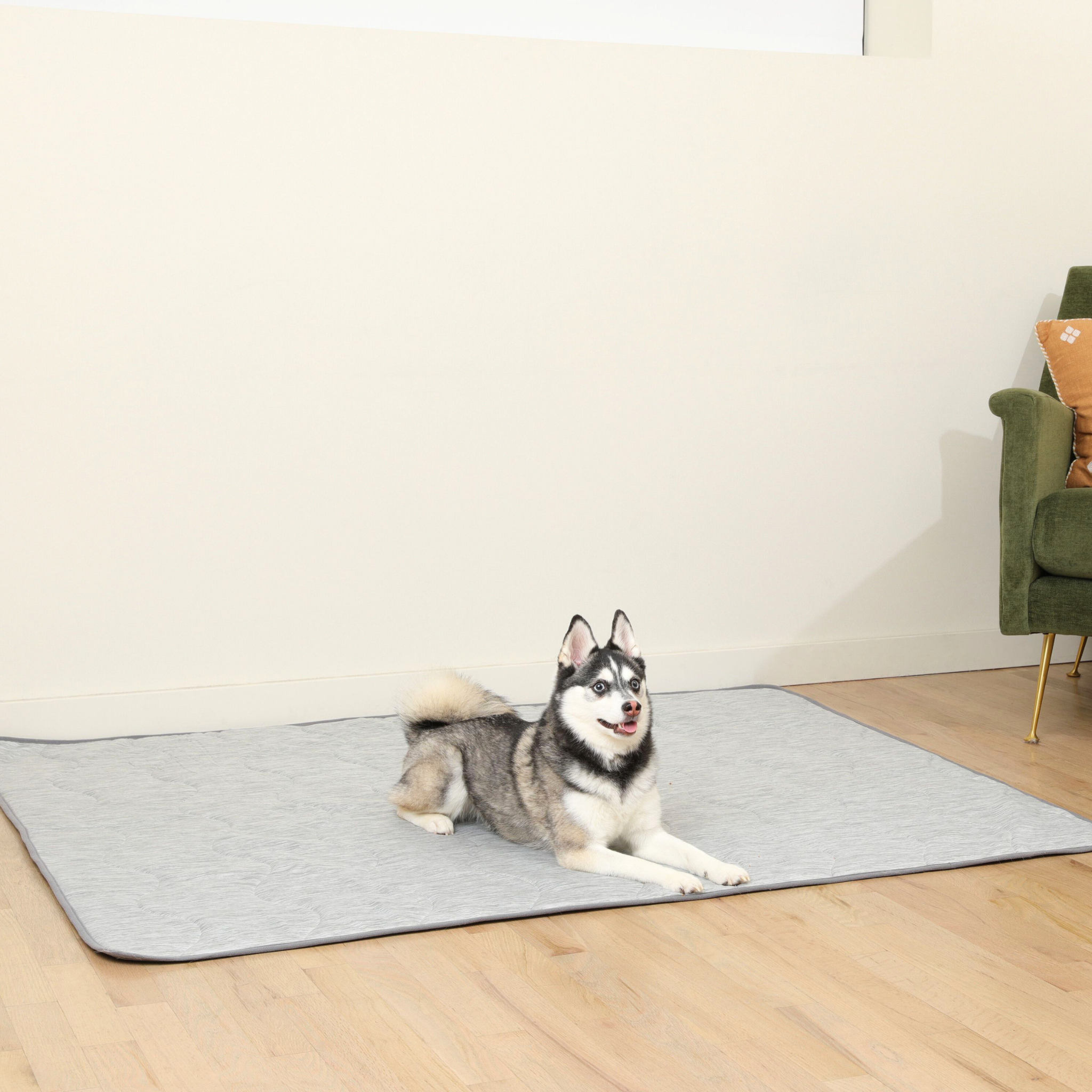 PupChill™ Cooling Waterproof Blanket - Arctic Grey、mySite、solidvoid