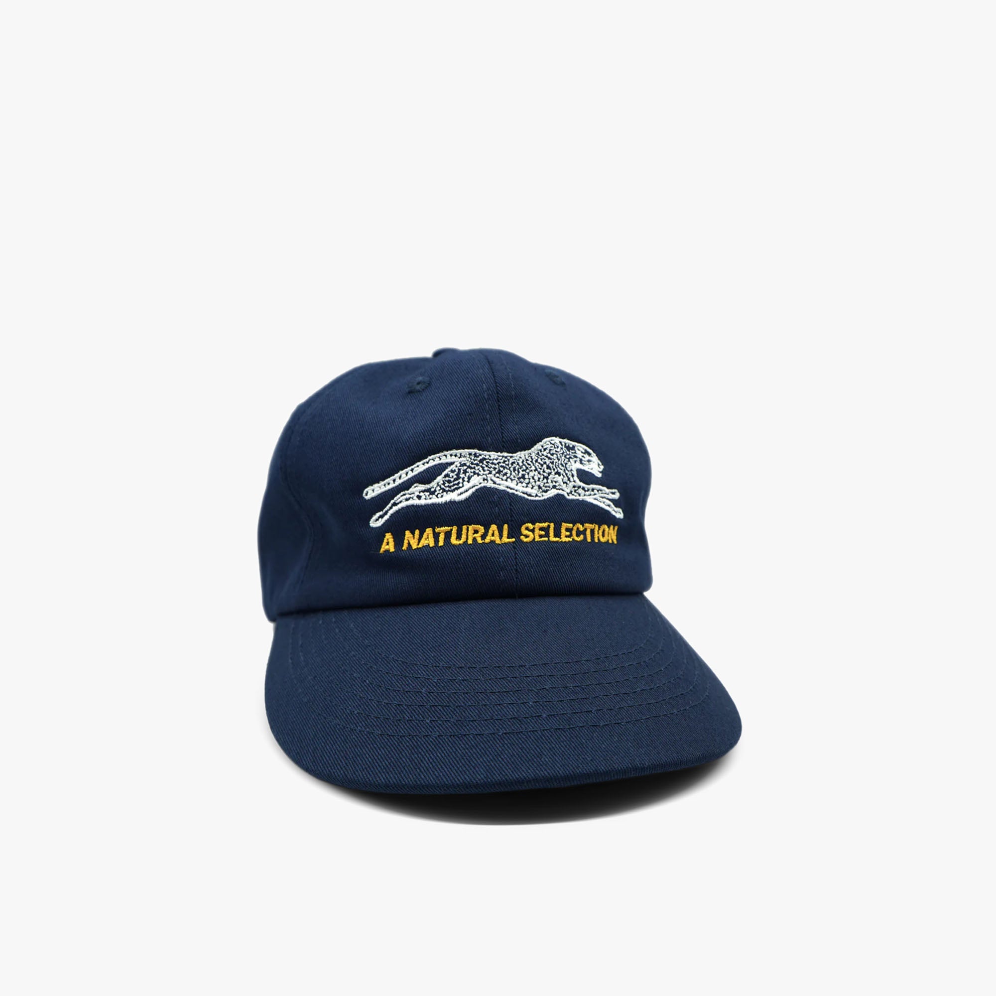  Brother Brother Natural Selection 2 Tone Cap Navy / Gold、mySite、merchandisen