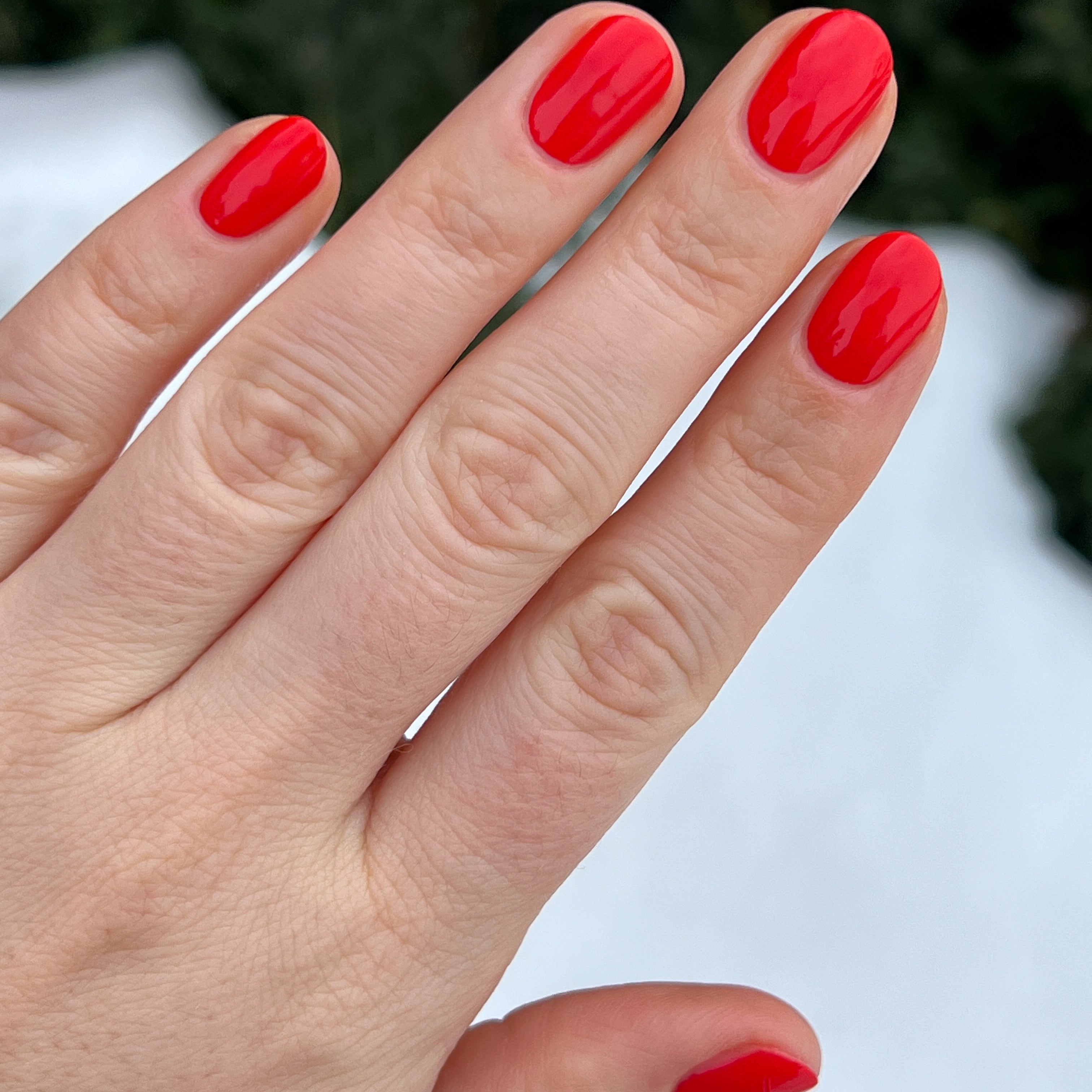 You're Doing Great、mySite、solidvoid