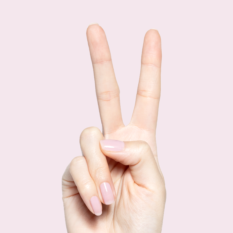 Glossed、mySite、solidvoid